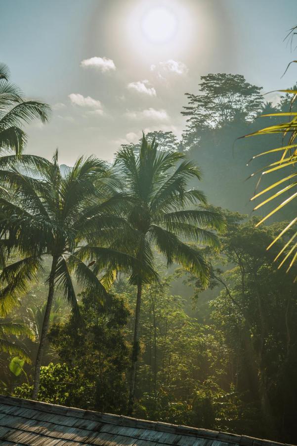 Kanva Ubud Tegallalang  Exterior foto