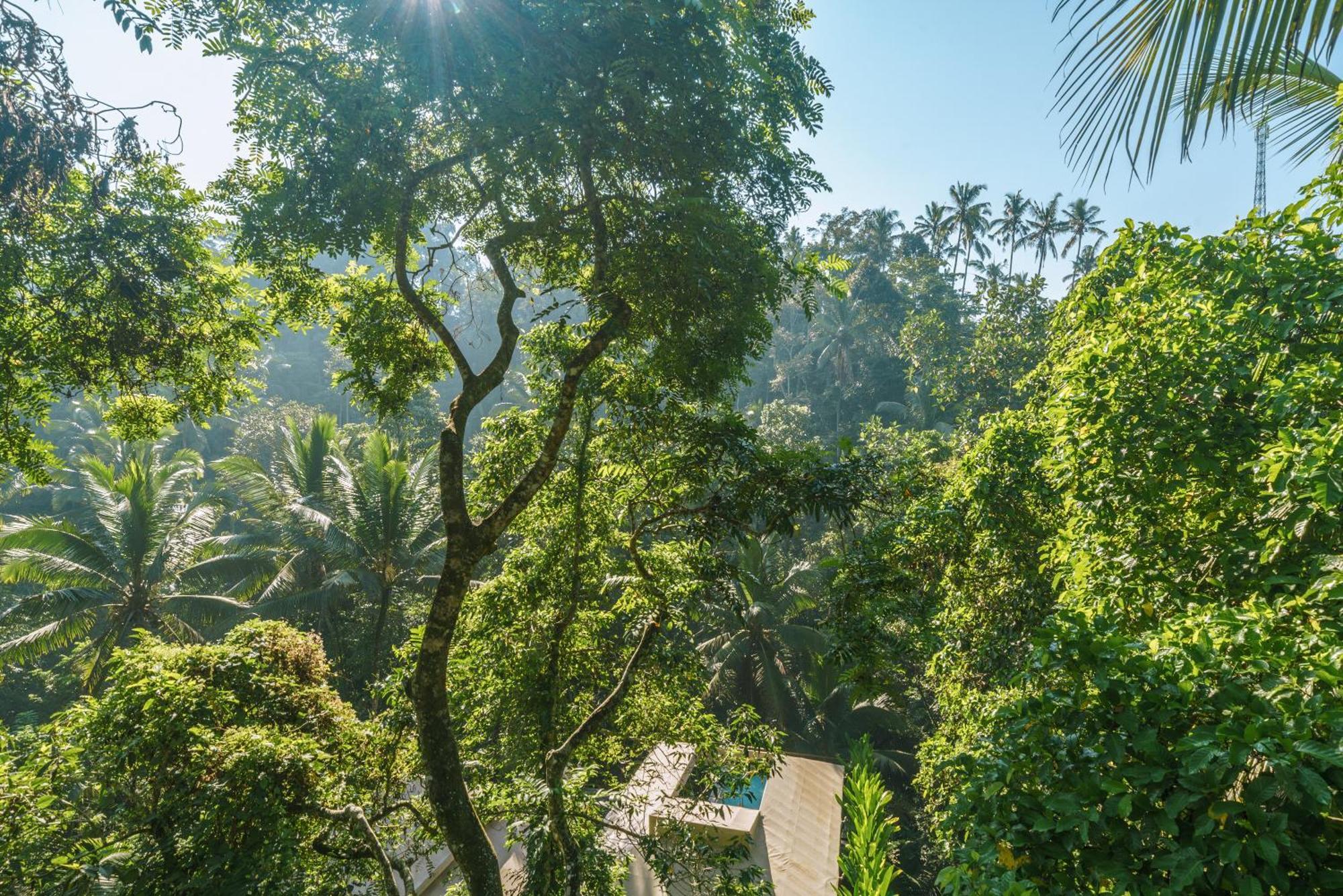 Kanva Ubud Tegallalang  Quarto foto