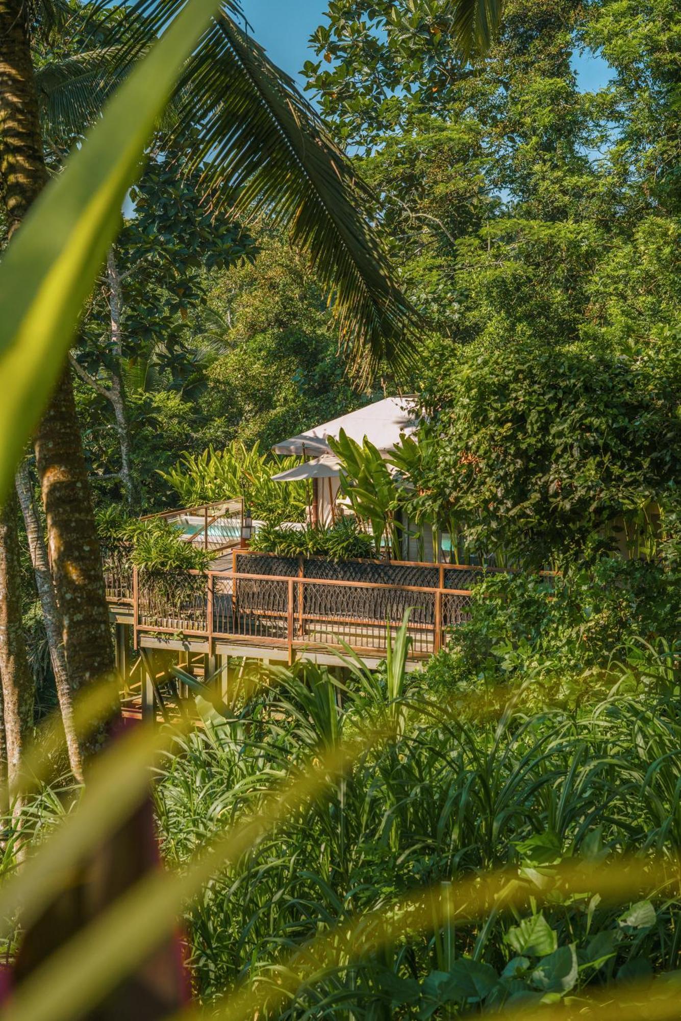 Kanva Ubud Tegallalang  Quarto foto